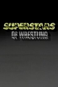 WWF Superstars Of Wrestling