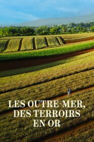 Les Outre-mer, des terroirs en or