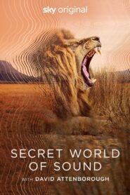 Secret World of Sound with David Attenborough